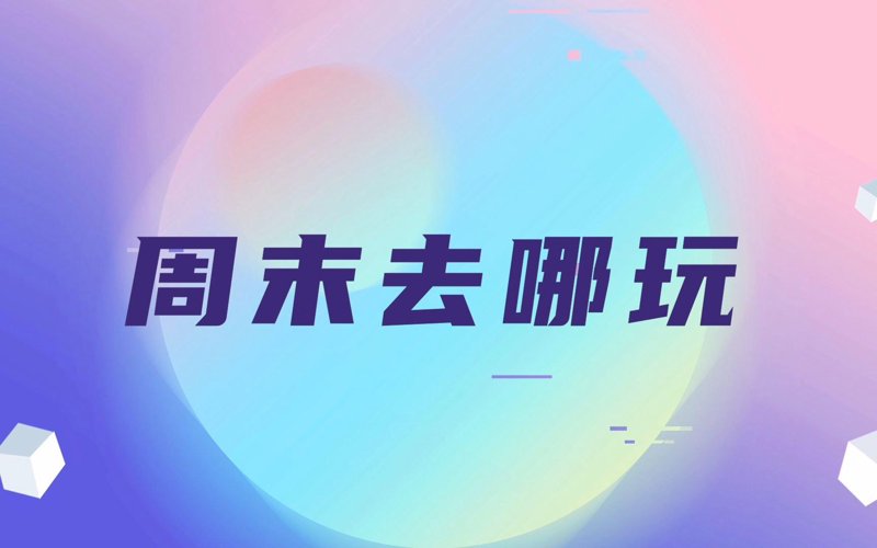 周末去哪玩